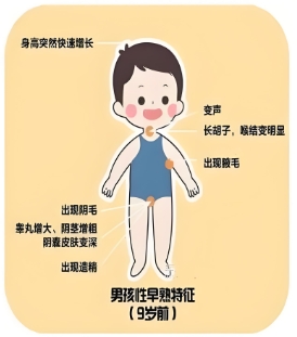 男孩性早熟的症状表现