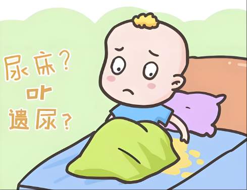 С���򴲵�ԭ��