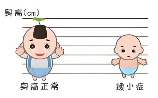 小孩格子偏矮怎么办